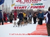 Ashley Guernsey leaves the start line of the 2014 Jr. Iditarod Sled Dog Race from Happy Trails Kennel, Big Lake, Alaska
Saturday February 22, 2014 

Junior Iditarod Sled Dog Race 2014
PHOTO BY JEFF SCHULTZ/IDITARODPHOTOS.COM  USE ONLY WITH PERMISSION