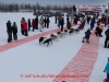 Janelle Towbridge leaves the start line of the 2014 Jr. Iditarod Sled Dog Race from Happy Trails Kennel, Big Lake, Alaska
Saturday February 22, 2014 

Junior Iditarod Sled Dog Race 2014
PHOTO BY JEFF SCHULTZ/IDITARODPHOTOS.COM  USE ONLY WITH PERMISSION