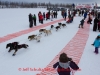 Janelle Towbridge leaves the start line of the 2014 Jr. Iditarod Sled Dog Race from Happy Trails Kennel, Big Lake, Alaska
Saturday February 22, 2014 

Junior Iditarod Sled Dog Race 2014
PHOTO BY JEFF SCHULTZ/IDITARODPHOTOS.COM  USE ONLY WITH PERMISSION