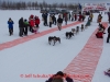 Kevin Harper leaves the start line of the 2014 Jr. Iditarod Sled Dog Race from Happy Trails Kennel, Big Lake, Alaska
Saturday February 22, 2014 

Junior Iditarod Sled Dog Race 2014
PHOTO BY JEFF SCHULTZ/IDITARODPHOTOS.COM  USE ONLY WITH PERMISSION