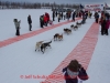 Ashley Guernsey leaves the start line of the 2014 Jr. Iditarod Sled Dog Race from Happy Trails Kennel, Big Lake, Alaska
Saturday February 22, 2014 

Junior Iditarod Sled Dog Race 2014
PHOTO BY JEFF SCHULTZ/IDITARODPHOTOS.COM  USE ONLY WITH PERMISSION