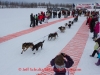 Benjamin Harper leaves the start line of the 2014 Jr. Iditarod Sled Dog Race from Happy Trails Kennel, Big Lake, Alaska
Saturday February 22, 2014 

Junior Iditarod Sled Dog Race 2014
PHOTO BY JEFF SCHULTZ/IDITARODPHOTOS.COM  USE ONLY WITH PERMISSION