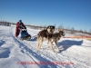 Joshua Klejka on the trail of the 2014 Jr. Iditarod Sled Dog Race at Happy Trails Kennel, Big Lake, Alaska
Sunday February 23, 2014 

Junior Iditarod Sled Dog Race 2014
PHOTO BY JEFF SCHULTZ/IDITARODPHOTOS.COM  USE ONLY WITH PERMISSION