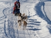 Joshua Klejka on the trail of the 2014 Jr. Iditarod Sled Dog Race at Happy Trails Kennel, Big Lake, Alaska
Sunday February 23, 2014 

Junior Iditarod Sled Dog Race 2014
PHOTO BY JEFF SCHULTZ/IDITARODPHOTOS.COM  USE ONLY WITH PERMISSION
