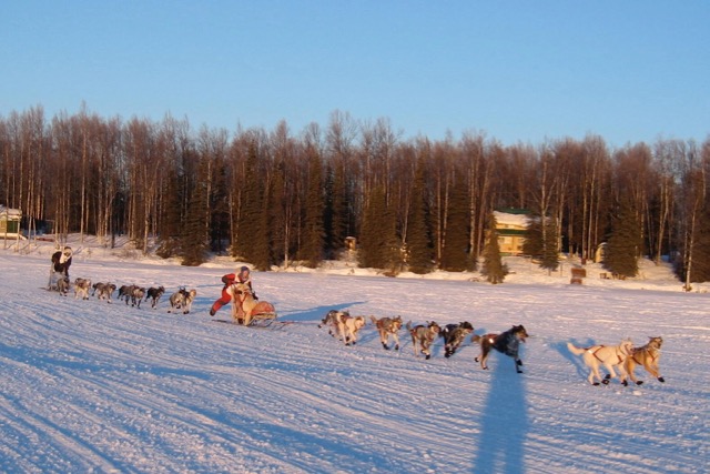 Jr. Iditarod – One Champion, All Winners – Jr. Iditarod